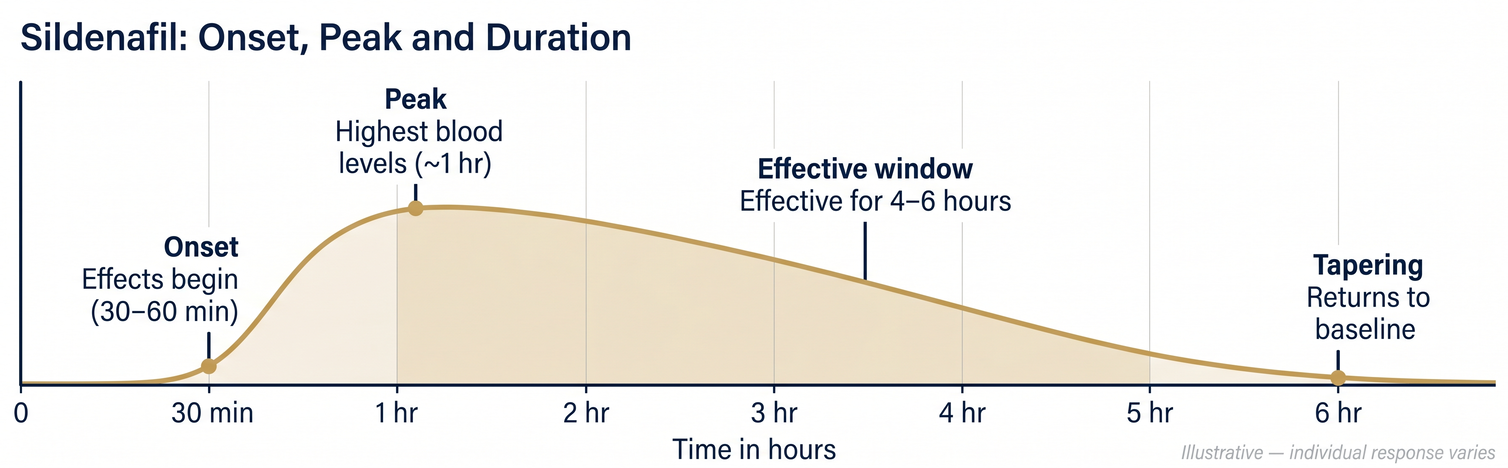 Chart showing sildenafil's time-course — onset at 30 to 60 minutes, peak at 1 hour, effective window of 4 to 6 hours, tapering to baseline
